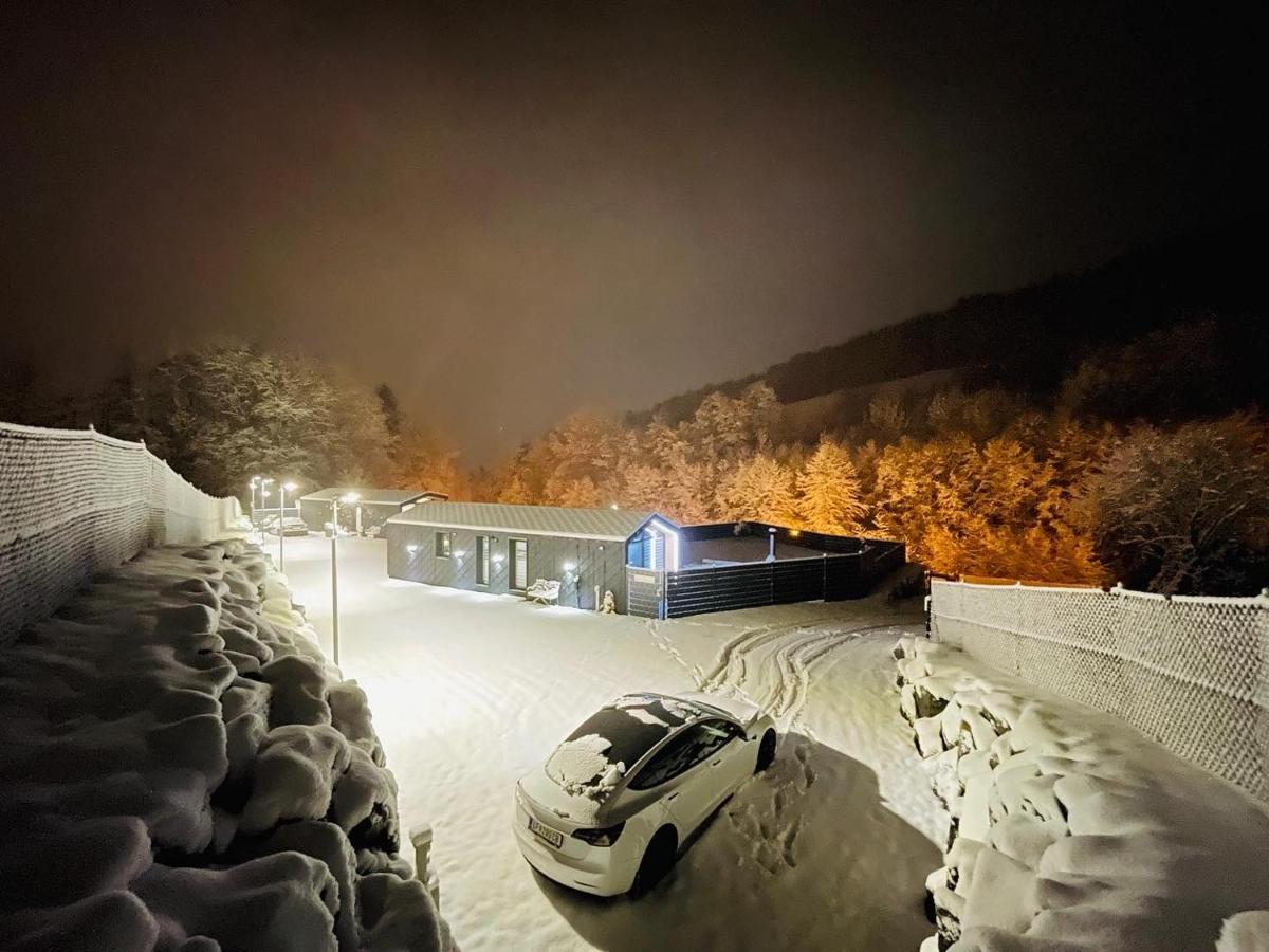 Voralpen Lodge - Ferienhaus mit Wellnessbereich Traisen Exterior foto